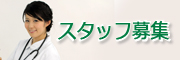 スタッフ募集